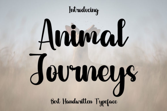 Animal Journeys: A Handwritten Font That Builds Brand Warmth