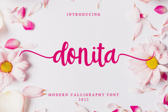 Donita: A Script Font for Sophisticated Web Design