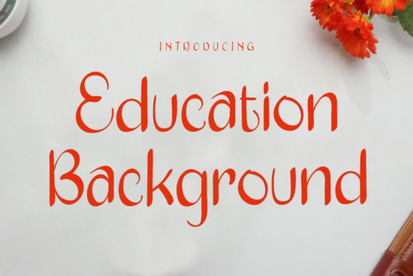 Education Background