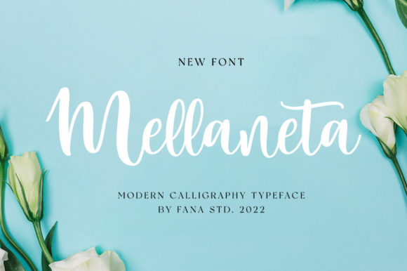 Mellaneta Script: A Modern Editorial Typeface