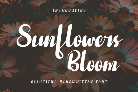 Sunflowers Bloom: A Handwritten Font with Editorial Warmth