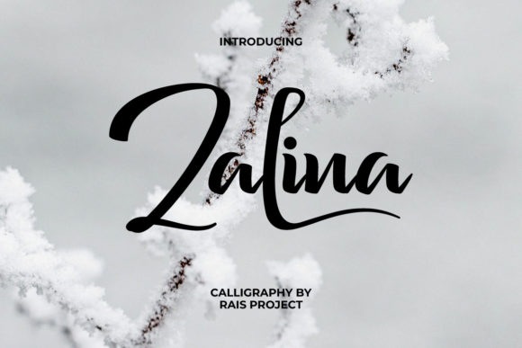 Zalina: A Script Font That Makes Your Campaign Stand Out